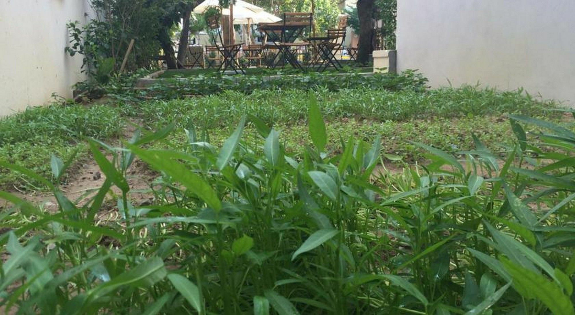 Heritage Homestay Χόι Αν Εξωτερικό φωτογραφία